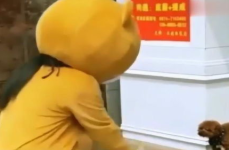网红熊害怕,揭秘熊熊内心的恐惧世界