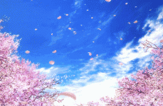 无s光写真Letx2639;s go！少女写真摄影师Silvi丁带你去北海道拍樱花 北海道赏樱第②弹