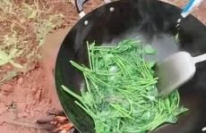 小姐姐户外做菜,小姐姐们的美食盛宴